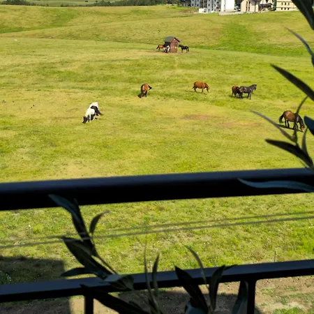 Heli Apartmanhotel *